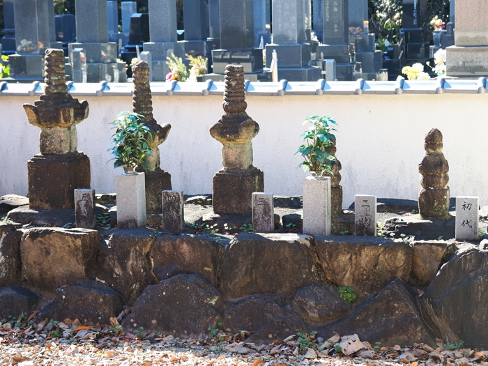 251228_PC286626 (2).jpg - 416,463Bytes